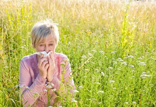 Asthme allergique : signes, causes et traitements