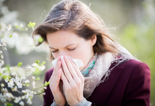La rhinite allergique : une allergie respiratoire courante